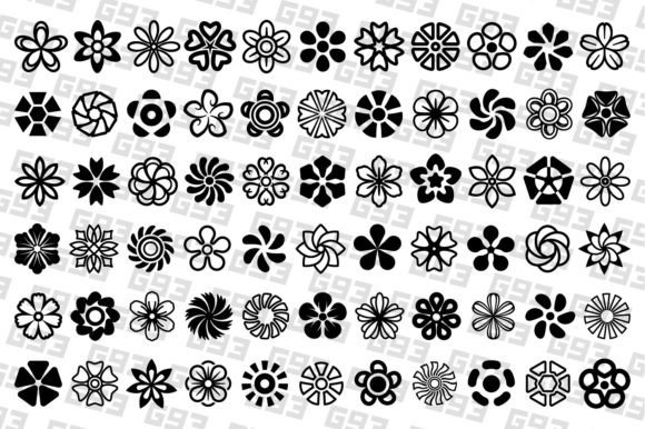 Big Floral Design Collection: Graphics & Illustrations