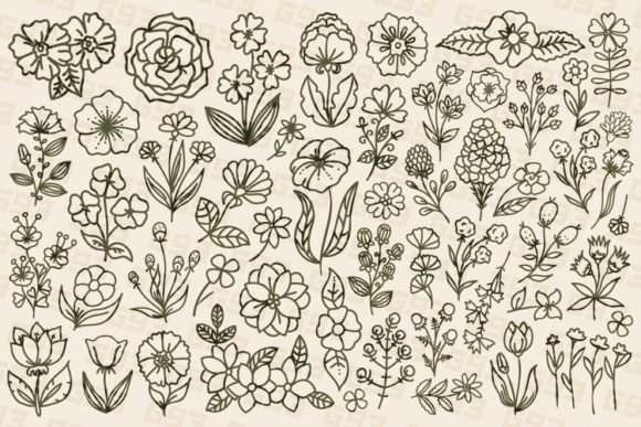 Line Art Drawn Floral Set