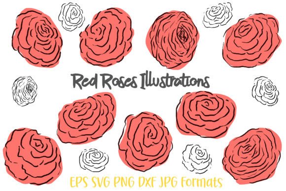Red Rose Illustration Design Floral Graphics & Illustrations