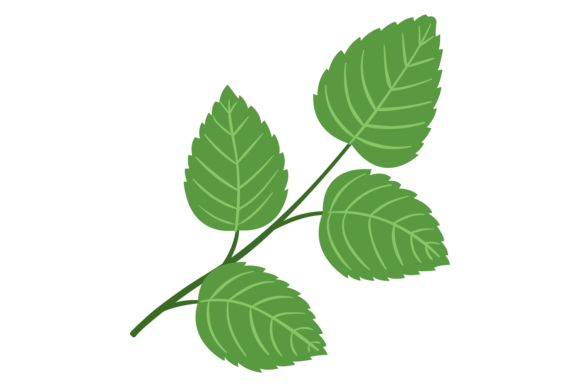 Rose Leaves Branch Graphics: Floral Illustrations for Sellers