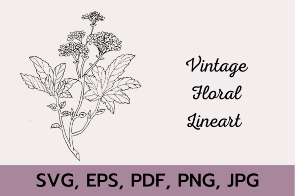 Vintage Floral Line Art: Graphics & Illustrations for Handmade Brands